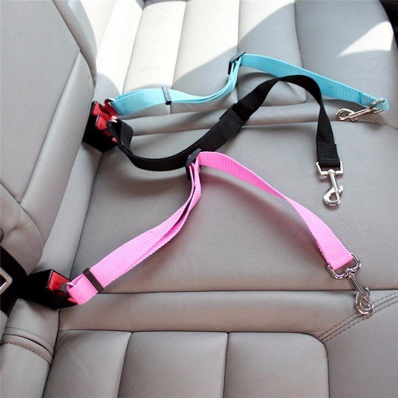 Swing Seat Belt - สายรัดนิรภัยในรถยนต์สำหรับแมว อุปกรณ์สำหรับสุนัข สายรัดปรับได้ สายจูง สายคล้องคอสำหรับสัตว์เลี้ยง ขนาดเล็ก
