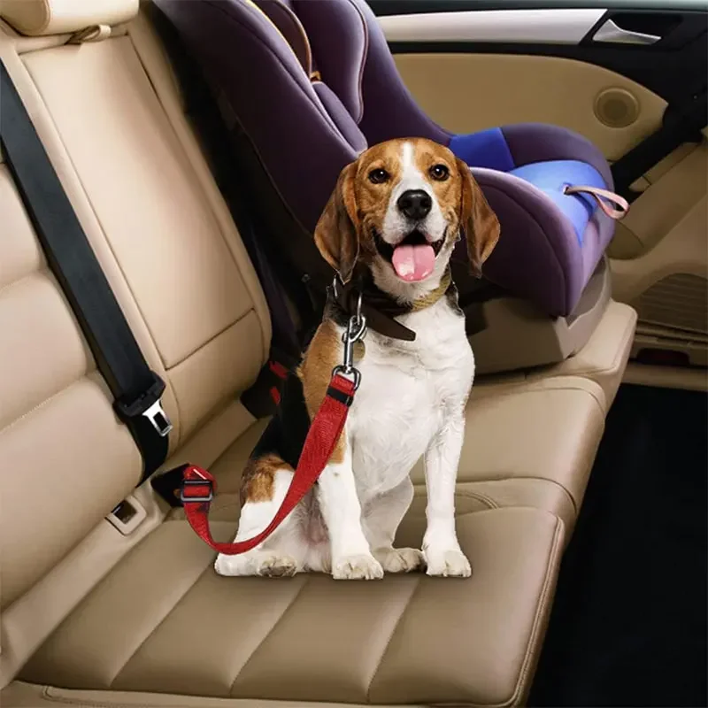 เข็มขัดนิรภัยสำหรับสุนัขในรถยน - Swing Seat Belt บทวิจารณ์และราคา